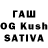 Cannafood конопля David Bulgakov