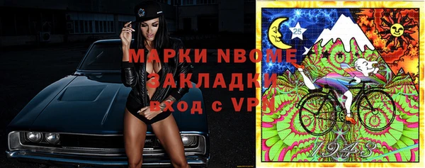 стаф Арсеньев