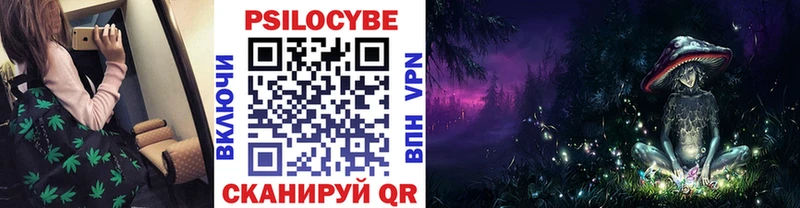 Галлюциногенные грибы Psilocybine cubensis  что такое   Углегорск 